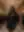 Awa, Gala night (blurred preview, members only)