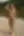 Bianca, Bikini (blurred preview, members only)