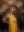 Céleste, Gala night (blurred preview, members only)