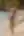 Céleste, Bikini (blurred preview, members only)