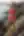 Freya, Bikini by the water (blurred preview, members only)