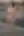 Jina, Bikini (blurred preview, members only)