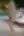 Katya, Bikini (blurred preview, members only)