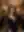 Yasmine, Gala night (blurred preview, members only)